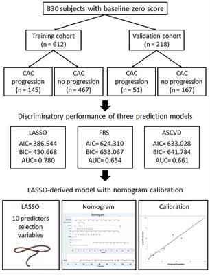 A LASSO-Derived Risk Model for Subclinical CAC Progression in Asian Population With an Initial Score of Zero